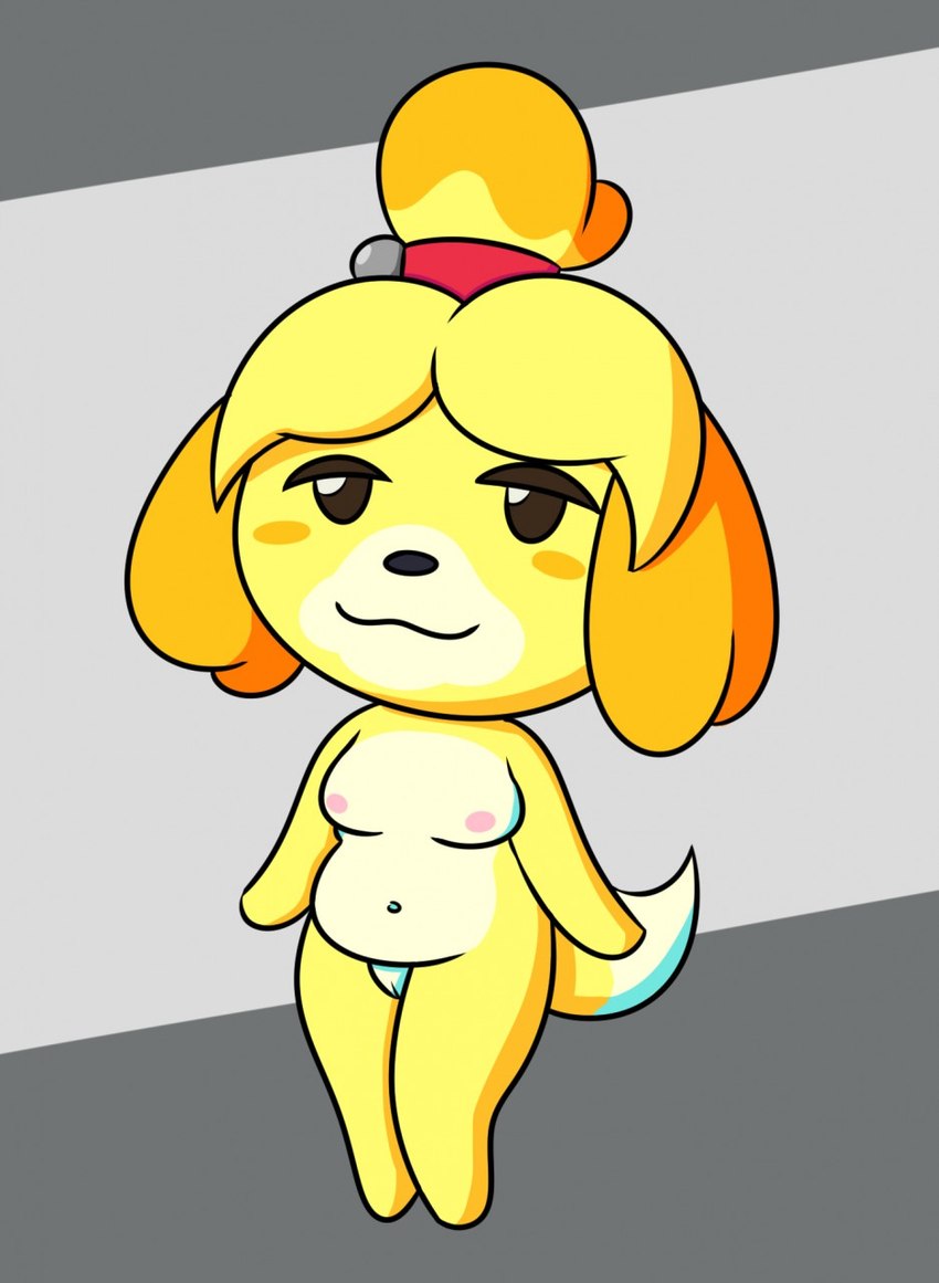 anthro breasts charming female genitals hair_elastic nipples nude pussy simple_background solo tail forcekin animal_crossing nintendo isabelle_(animal_crossing) canid canine canis domestic_dog mammal shih_tzu toy_dog hi_res