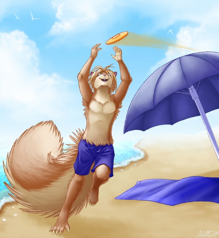 5_toes anthro armpit_hair beach beach_umbrella big_tail blonde_hair blue_sky body_hair bottomwear brown_body brown_fur claws clothed clothing cloud day feet fluffy fluffy_tail frisbee fur green_eyes hair male open_mouth outside parasol playing sand sea seaside shorts sky solo tail tan_body tan_fur toe_claws toes topless towel umbrella water conditional_dnp ratte ash_greytree ambient_bird ambient_seagull mammal rodent sciurid tree_squirrel 2014 digital_media_(artwork) full-length_portrait portrait