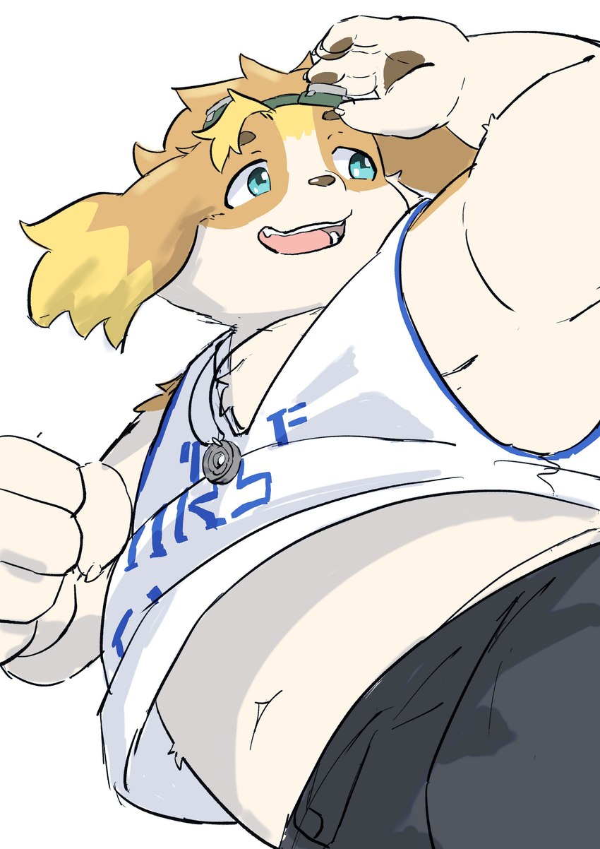 anthro belly blonde_hair blue_eyes clothing eyewear floppy_ears goggles hair male navel shirt slightly_chubby solo tank_top topwear redpansama lifewonders live_a_hero hisaki_(live_a_hero) canid canine canis domestic_dog mammal absurd_res hi_res