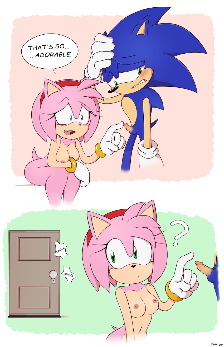 amy rose and sonic the hedgehog (sonic the hedgehog (series) and etc) created by ennix