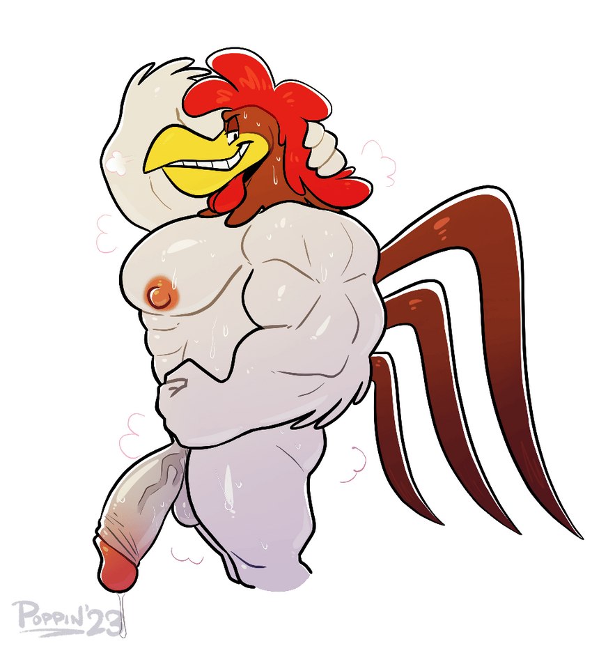 foghorn leghorn (tiny toons looniversity and etc) created by poppin