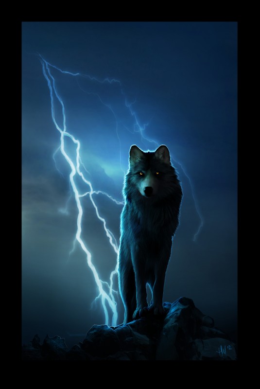 ambiguous_gender black_body black_border black_fur black_nose border detailed_background electricity feral front_view fur lightning looking_at_viewer night orange_eyes outside pose quadruped rock solo standing tan_body tan_fur novawuff canid canine canis mammal wolf 2012 absurd_res hi_res portrait