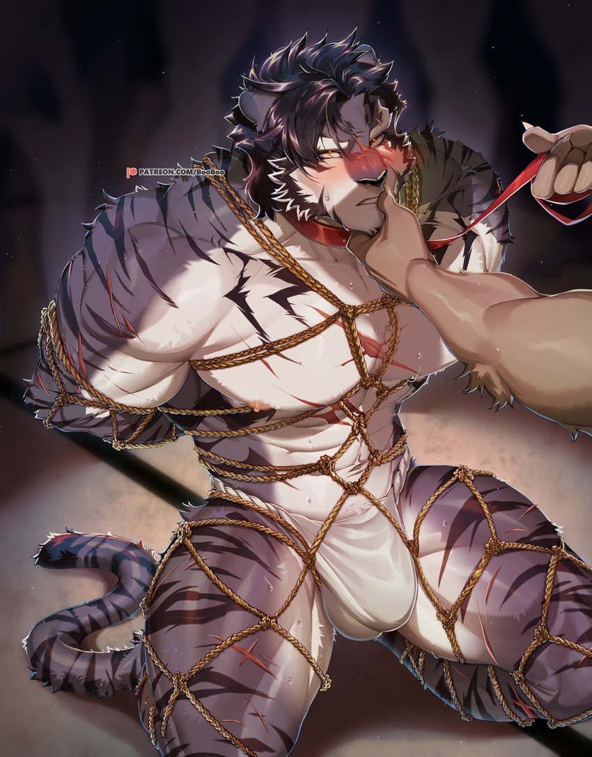 abs anthro arm_scar asian_clothing bdsm black_hair blush bodily_fluids bondage bound brown_body brown_fur bulge chest_scar claws clothed clothing collar deltoids duo east_asian_clothing eye_scar facial_scar finger_claws fundoshi fundoshi_only fur grey_body grey_fur hair hands_behind_back hands_tied_behind_back holding_leash holding_object japanese_clothing kneeling leash leashed_collar leg_scar male multicolored_body multicolored_fur muscular muscular_anthro muscular_male nipples pecs restraints rope rope_bondage scar snout snout_scar solo_focus striped_body striped_fur stripes sweat tail text topless underwear underwear_only white_body white_clothing white_fundoshi white_fur white_underwear x_scar yellow_eyes booboo34 patreon sdorica yao_(sdorica) ambiguous_species felid mammal pantherine tiger 2024 absurd_res hi_res url