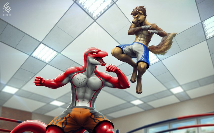 action_pose amber_eyes anthro athletic athletic_wear bottomwear brown_body brown_fur brown_hair chest_tattoo clenched_teeth clothed clothing digitigrade duo eye_contact fight fist fur grey_body grey_skin gym_bottomwear gym_shorts hair jumping looking_at_another looking_down looking_down_at_partner looking_up looking_up_at_partner male markings motion_blur navel open_mouth pose red_body red_skin shorts shorts_only spots spotted_body spotted_fur tan_body tan_fur tattoo teeth toned_muscles topless white_body white_skin cereus93 jarl_hyena siader cetacean dolphin hyena mammal marine marine_mammal oceanic_dolphin spotted_hyena striped_dolphin toothed_whale 2024 absurd_res hi_res