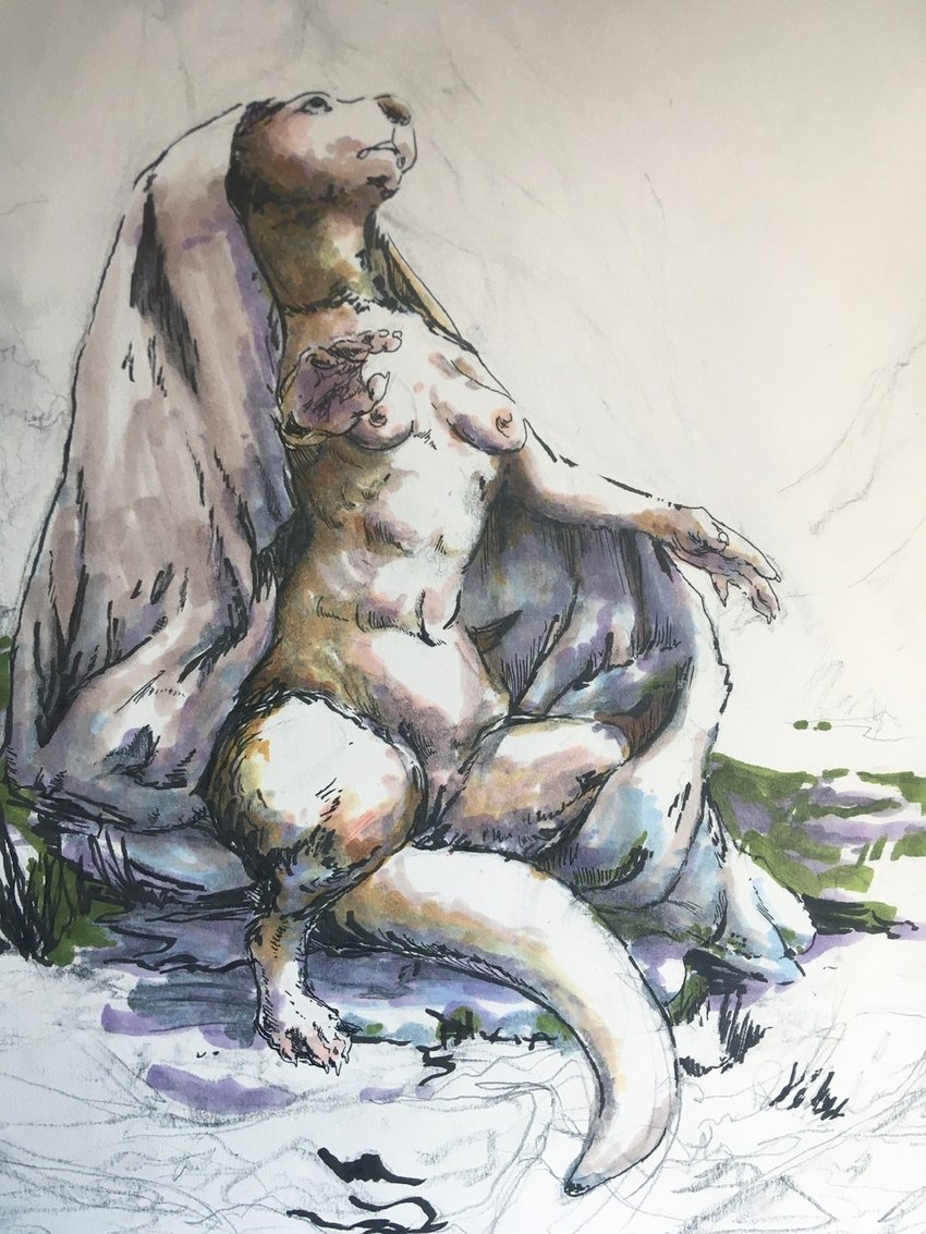 anthro bedding black_eyes blanket breasts brown_body female genitals grass looking_up nipples nude outside plant pussy semi-anthro sitting small_breasts solo oddwilds mammal mustelid otter 2024 3:4 hi_res marker_(artwork) traditional_media_(artwork)