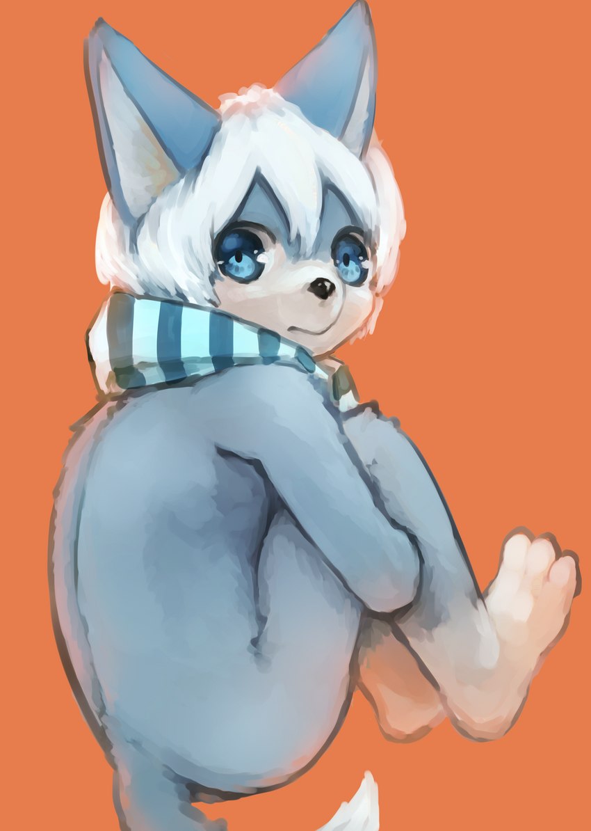 ambiguous_gender anthro black_nose blue_eyes blue_scarf countershading curled_up dipstick_tail fetal_pose fur glistening glistening_eyes grey_body grey_fur kemono leg_markings looking_at_viewer looking_back markings mostly_nude orange_background scarf scarf_only simple_background socks_(marking) solo tail tail_markings two_tone_face young young_anthro naegi sirius_(fffff_kkkkk) canid canine mammal 2019 absurd_res digital_media_(artwork) digital_painting_(artwork) hi_res