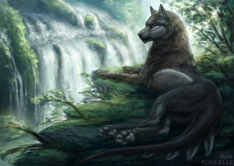 black_body black_fur day detailed_background feral fur grass lying outside plant solo water waterfall noquelle canid canine canis hybrid mammal wolf 2018 digital_media_(artwork)