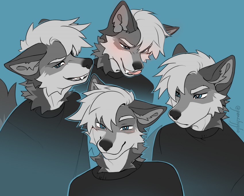 anthro black_clothing black_nose black_shirt black_topwear blue_background blue_eyes blush clothing front_view fur grey_body grey_ears grey_fur grey_tail hair licking licking_lips licking_own_lips looking_at_viewer male multiple_angles narrowed_eyes neck_tuft shirt side_view simple_background smile smirk solo tail teeth tongue tongue_out topwear tuft white_body white_fur white_hair peachygho ryew0lf canid canine canis mammal wolf