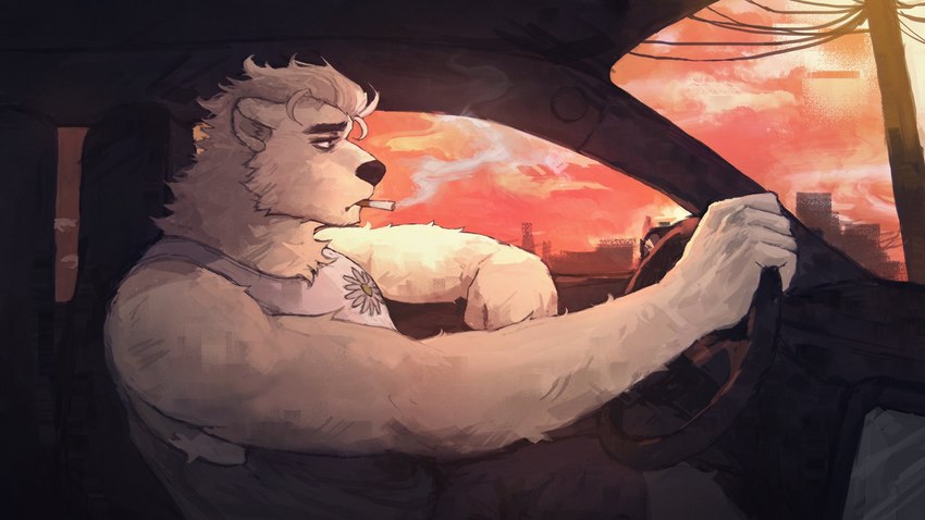 anthro building car cigarette city driving floral_markings male markings relaxed_expression smoking smoking_cigarette solo sunset utility_pole vehicle dreff bear mammal polar_bear ursine 16:9 2024 digital_media_(artwork) hi_res painting_(artwork) widescreen