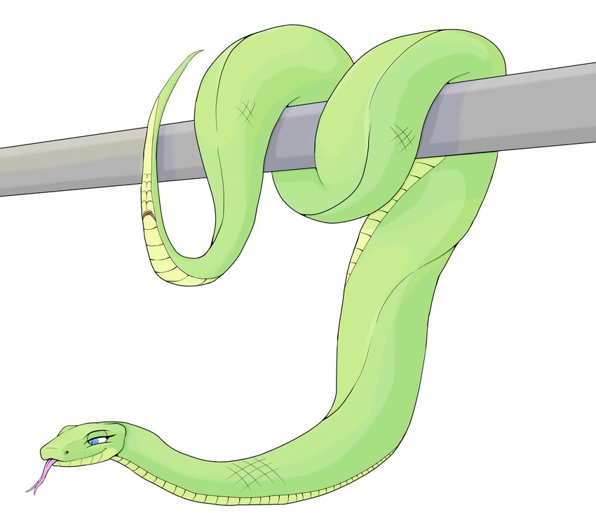 animal_genitalia blue_eyes cloaca female feral genitals green_body metal_pipe pole seductive serpentine simple_background solo tongue tongue_out white_background valsion reptile scalie snake hi_res