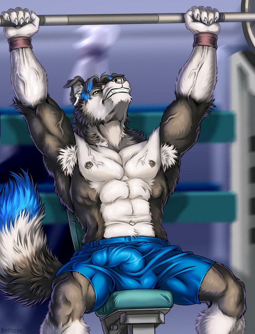 5_fingers abs anthro armpit_hair athletic athletic_anthro athletic_male balls_outline bench_press black_body black_fur black_hair black_nose blue_highlights body_hair bottomwear bulge claws clenched_teeth clothed clothing detailed_bulge exercise finger_claws fingers fur genital_outline gym hair highlights_(coloring) humanoid_hands male multicolored_body multicolored_fur muscular muscular_anthro muscular_male navel nipples pecs penis_outline shorts solo spread_legs spreading teeth topless topless_male two_tone_body two_tone_fur vein veiny_muscles weightlifting white_body white_fur workout wristband belfezon mason_(trivolmckenley) border_collie canid canine canis collie domestic_dog herding_dog mammal pastoral_dog sheepdog 2022 digital_media_(artwork) hi_res signature