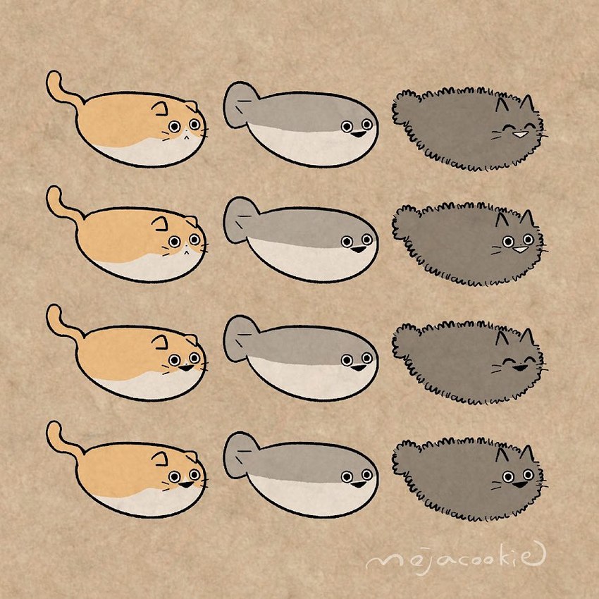 ambiguous_gender brown_background feral folded_ears group simple_background tail trio whiskers mojacookie shikaruneko_(series) amayakasuneko nagameruneko domestic_cat felid feline felis fish jawless_fish mammal marine prehistoric_species sacabambaspis 1:1 2023 official_art