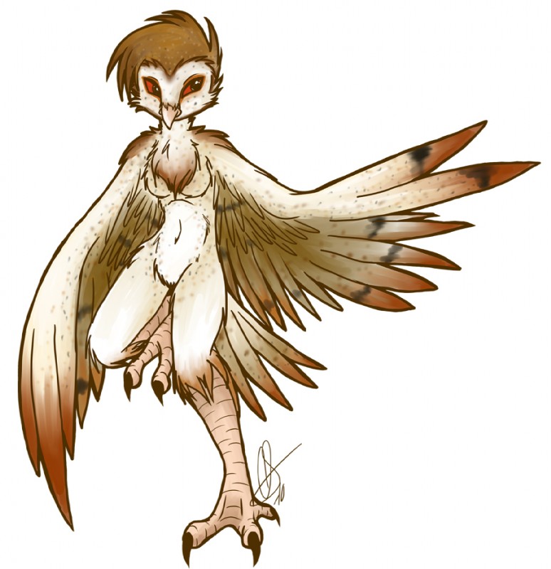 anthro beak breasts brown_hair chest_tuft claws feathered_wings feathers female fur hair non-mammal_breasts nude raised_leg realistic_wings simple_background solo toe_claws tuft white_background wings blink_(artist) avian barn_owl bird owl tyto tytonid 2010