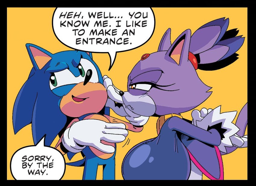 blaze the cat and sonic the hedgehog (sonic the hedgehog (comics) and etc) created by adam bryce thomas, sachasketchy, and third-party edit