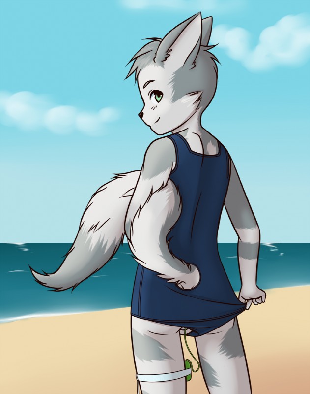 adolescent anthro backsack balls beach biped blue_clothing blue_swimwear clothing cloud detailed_background fur genitals green_eyes holding_tail looking_back male one-piece_swimsuit outside raised_tail sand seaside sex_toy sky solo standing swimwear tail vibrator water young young_anthro k0yangi goric canid canine fox mammal hi_res