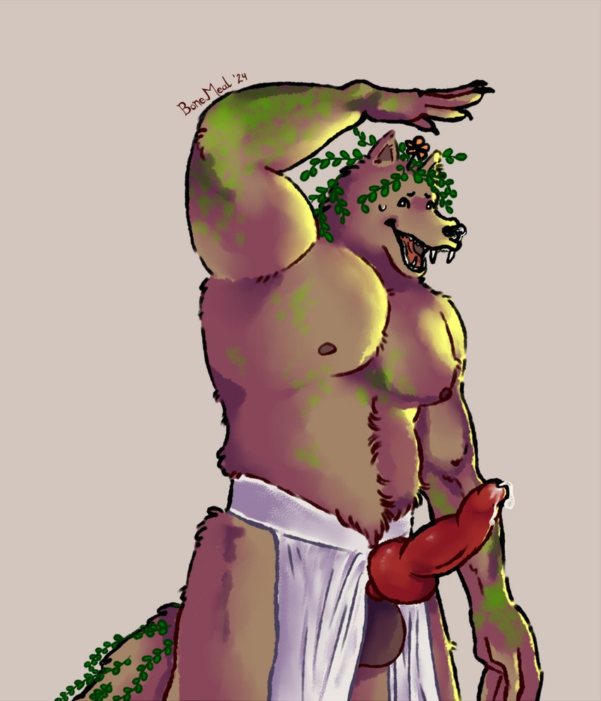 animal_genitalia animal_penis anthro balls bodily_fluids bottomwear bottomwear_aside brown_body brown_fur canine_genitalia canine_penis claws clothing clothing_aside embarrassed fur genital_fluids genitals knot loincloth loincloth_aside male moss muscular muscular_anthro muscular_male nipples open_mouth penis plant precum simple_background solo vines bonemeal mythology canid canine canis mammal mythological_canine mythological_creature werecanid werecanine werecreature werewolf wolf shaded