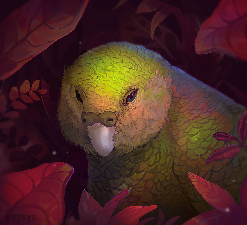 ambiguous_gender blue_eyes feathers feral green_body green_feathers solo yessys avian bird kakapo parrot strigopoid 2020 digital_media_(artwork) hi_res