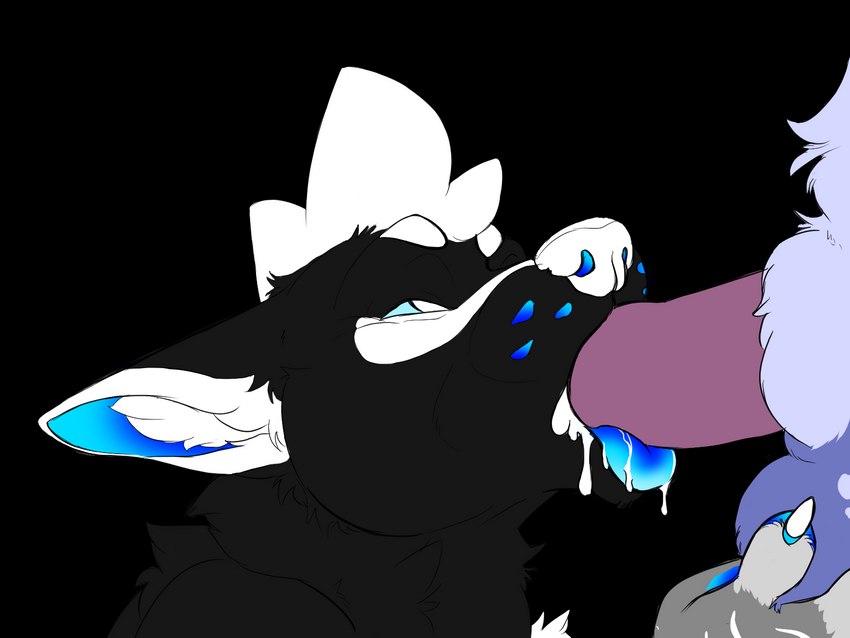 anthro balls black_body black_fur blue_body blue_eyes blue_fur bodily_fluids cum cum_in_mouth cum_inside duo fellatio fur genital_fluids genitals holding_balls male male/male oral penile sex white_body white_eyes white_fur gangles_(artist) bubbles_(sillydog) oneiro_(character) 4:3 alpha_channel hi_res