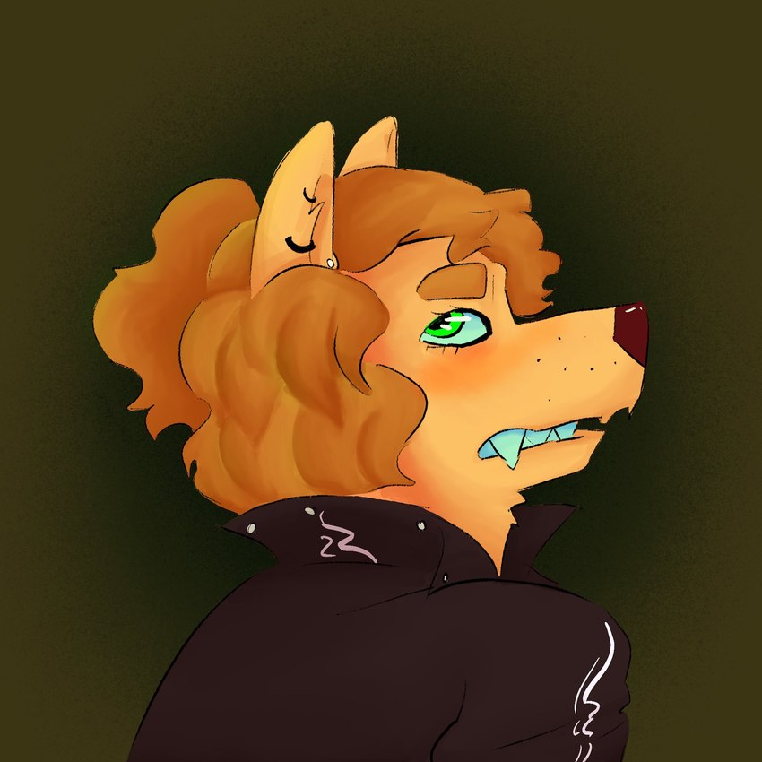 anthro clothing ear_piercing ear_ring fangs female hair iconography jacket leather leather_clothing leather_jacket leather_topwear piercing ponytail ring_piercing scoff smile smirk solo teeth topwear funkybirddude_(artist) canid canine canis humanoid mammal wolf rendered 1:1 hi_res icon