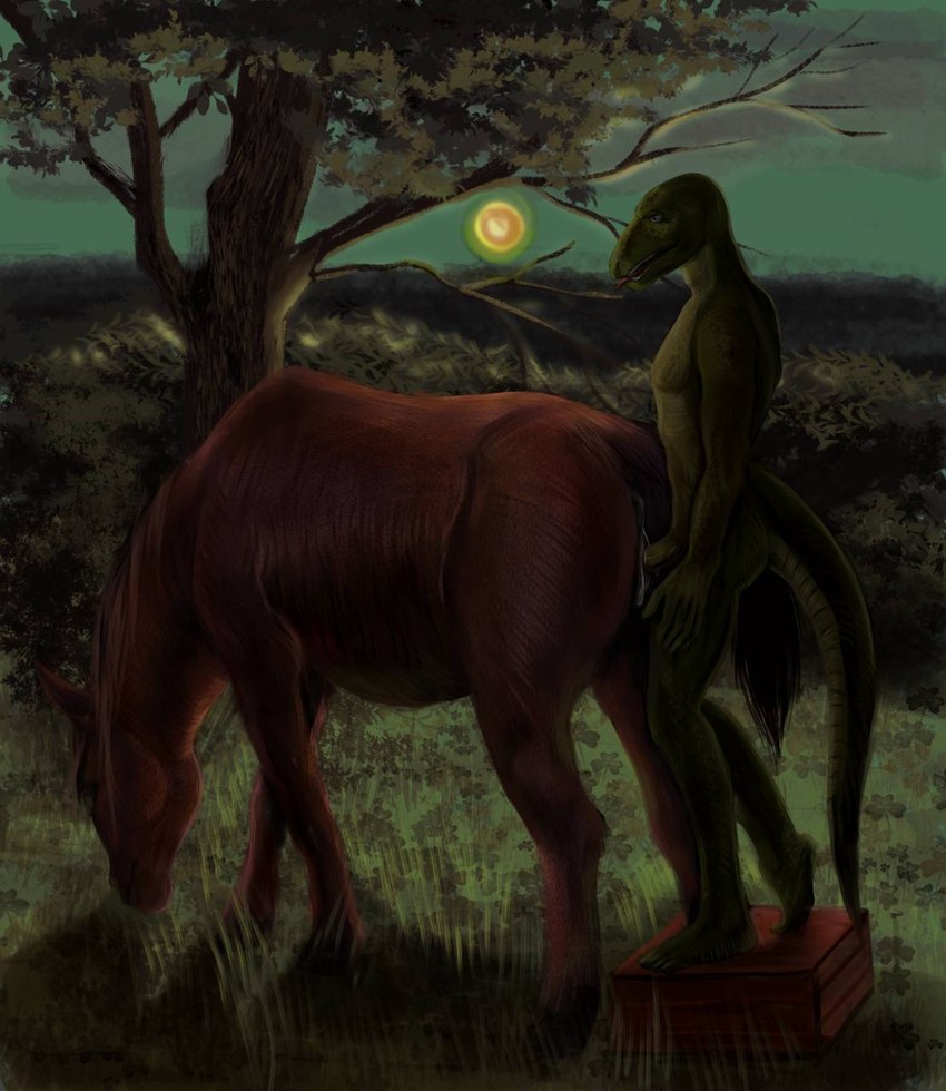 anthro anthro_on_feral anthro_penetrating anthro_penetrating_feral bestiality biped duo dusk erection female feral feral_penetrated genitals green_body green_tail height_assist humanoid_genitalia humanoid_penis interspecies larger_feral larger_penetrated male male/female male_on_feral male_penetrating_feral nude outside penetration penile penile_penetration penis penis_in_pussy pussy quadruped sex size_difference smaller_anthro tail vaginal vaginal_penetration gashik_(artist) dracenmarx lewis_resmond equid equine horse lizard mammal monitor_lizard reptile scalie 2024 colored hi_res