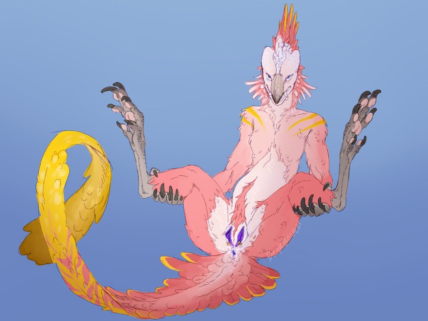 2_clitorises 2_pussies 6_fingers 6_toes andromorph anthro anus beak blue_eyes blue_insides claws clitoris cyanotic_epithelium dewclaw digitigrade fangs feathered_crest feathered_tail feathers feet finger_claws fingers flat_chested fur genitals head_crest holding_both_legs intersex looking_at_viewer multi_clitoris multi_genitalia multi_pussy multicolored_body multicolored_feathers multicolored_fur nude pink_body pink_feathers pink_fur presenting presenting_pussy pubes purple_anus purple_pussy pussy simple_background sitting tail tail_anus tail_feathers teeth toe_claws toes two_tone_body two_tone_feathers two_tone_fur unusual_anatomy unusual_genitalia unusual_pussy yellow_body yellow_feathers beakbonk alien avian veristal 4:3 colored hi_res