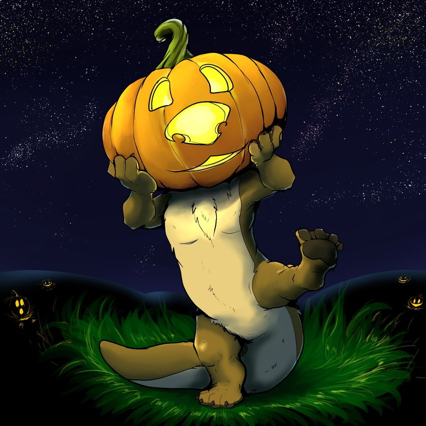 anthro brown_body brown_fur cosmic_background feet for_a_head fur grass holding_pumpkin holidays jack-o'-lantern male membrane_(anatomy) night otter_tail outside plant pumpkin_head sky solo star starry_background starry_sky toes wearing_pumpkin webbed_feet webbed_hands pandottermon halloween mammal mustelid object_head otter 1:1 hi_res