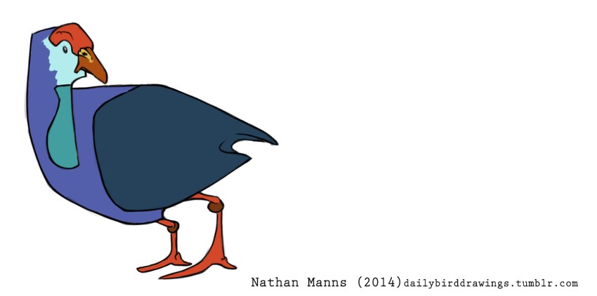 2_toes ambiguous_gender avian_caruncle avian_feet beady_eyes beak biped black_eyes black_text blue_body blue_feathers blue_skin blue_wings brown_beak dark_eyes dark_text dewlap_(anatomy) feathered_wings feathers feet feral folded_wings frown light_face looking_back monotone_wings multicolored_beak narrow_legs orange_beak red_body red_feet red_skin side_view simple_background small_eyes solo standing text toes toony turquoise_body turquoise_face turquoise_feathers two_tone_beak wattle white_background winged_arms wings year yellow_beak jamminbison australasian_swamphen avian bird gruiform rail_(bird) swamphen 2014 artist_name digital_drawing_(artwork) digital_media_(artwork) flat_colors full-length_portrait portrait url