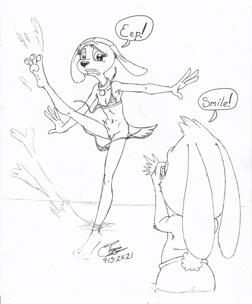 accident accidental_exposure anthro bikini bikini_bottom bikini_top breasts clothing collar embarrassed female male nipple_slip pussy_slip skinny_female small_breasts splashing_water swimwear two-piece_swimsuit wardrobe_malfunction zmorphcom brandy_and_mr._whiskers disney brandy_harrington mr._whiskers canid canine canis domestic_dog lagomorph leporid mammal rabbit hi_res traditional_media_(artwork)