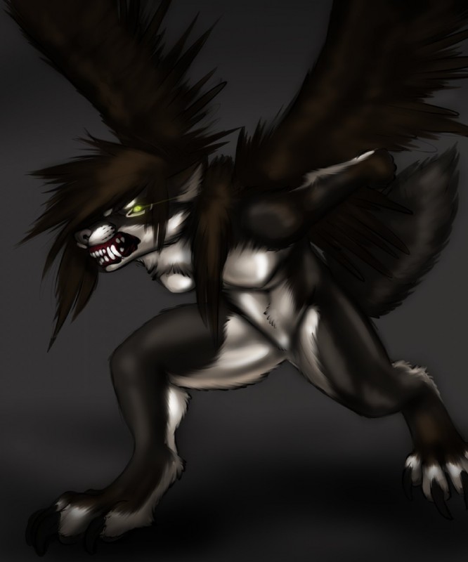 angry anthro black_body black_fur black_nose brown_body brown_fur brown_nose fangs feathered_wings feathers female fluffy fluffy_tail fur glowing glowing_eyes nude sharp_teeth solo tail teeth white_body white_fur wings yellow_eyes shikoyote canid canine canis coyote hybrid mammal hi_res