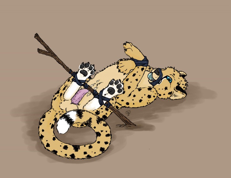 vector cheetah created by sushi just ask
