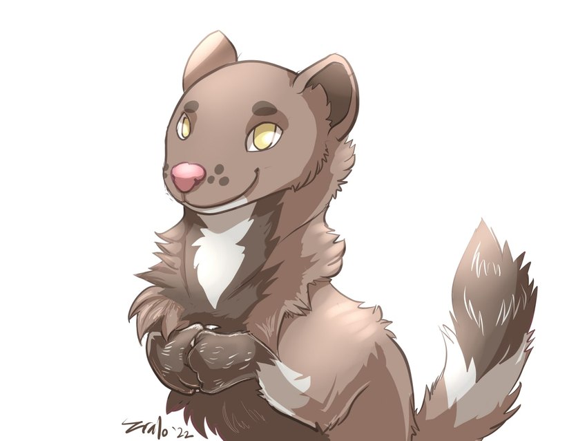 ambiguous_gender anthro brown_body brown_fur feral fingers fur looking_at_viewer pink_nose simple_background smile solo standing tail white_background zrcalo mammal mustelid otter 4:3 digital_media_(artwork) shaded