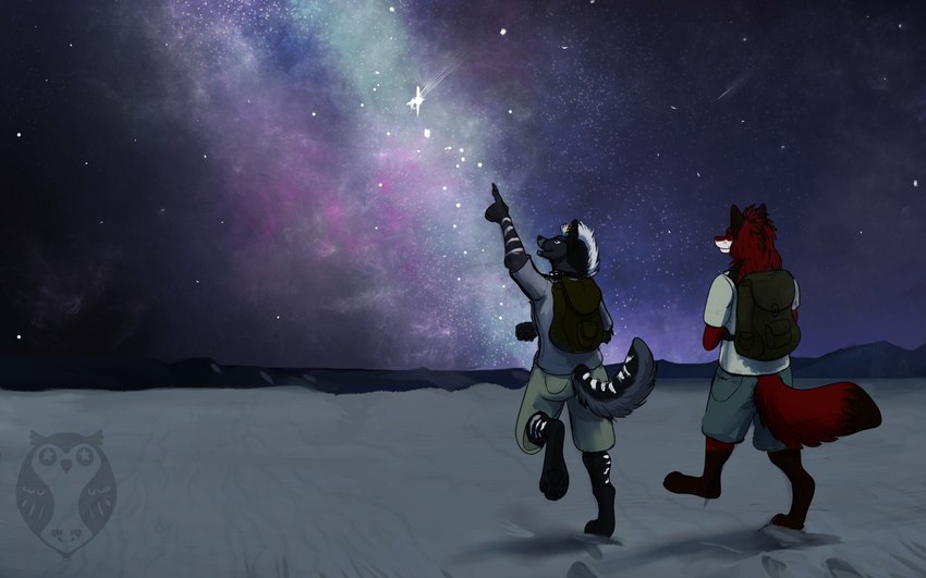 anthro backpack black_body black_ears black_fur black_tail_tip clothed clothing desert digitigrade dipstick_tail duo fur gesture hair hand_gesture male markings pointing pointing_up rainbow_piercings red_body red_fur sand sky star starry_sky stripes tail tail_markings walking white_hair white_stripes galaxyowls yifftrax ruuqo_(yifftrax) victor_johansen canid canine canis domestic_dog fox husky mammal nordic_sled_dog spitz 16:10 2019 widescreen