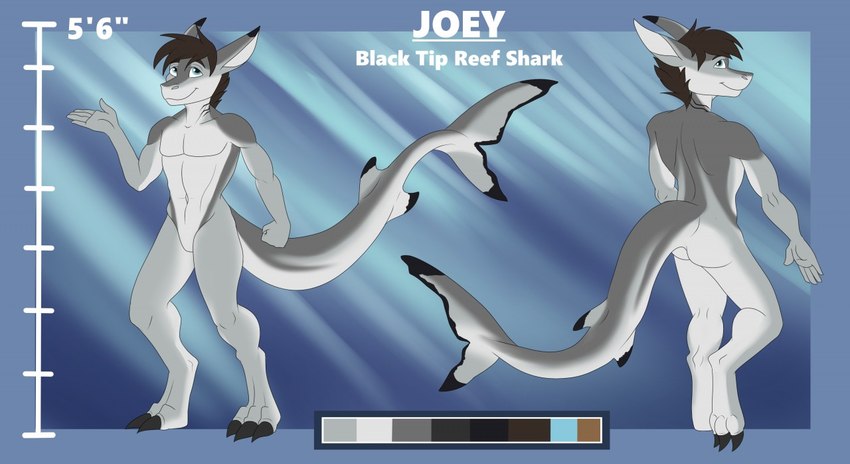 joey created by tiggybloom