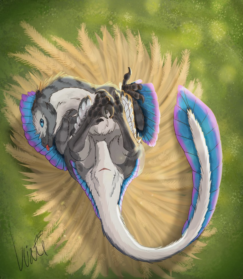 animal_genitalia blue_body blue_eyes blue_feathers cloaca feathered_theropod feathers female feral genitals legs_up lying on_back playful presenting pubic_boot purple_body purple_feathers solo suggestive_pose tongue tongue_out underfluffies thyvixie vix_(vixie) dinosaur dromaeosaurid feathered_dinosaur feathered_dromaeosaurid feathered_raptor feathered_scalie prehistoric_species reptile scalie theropod utahraptor absurd_res hi_res