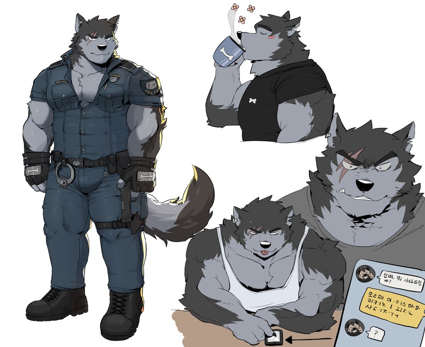 anthro belt cellphone chat_message cjk_character clothing cuff_(restraint) ear_piercing electronics facial_scar fingerless_gloves fur gloves grey_body grey_fur gun handcuffs handgun handwear key male metal_cuffs notched_ear phone piercing police police_officer police_uniform ranged_weapon restraints scar simple_background smartphone solo text topwear uniform vest weapon white_background white_body white_clothing white_fur white_topwear white_vest warr canid canine canis mammal wolf absurd_res hi_res korean_text model_sheet translated