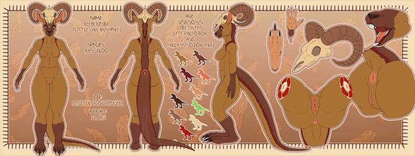 anthro anus bone butt crotch_shot feet female hindpaw markings mouth_shot nude open_mouth paws pouch_(anatomy) skull skull_head solo tribal tribal_markings tribal_paint vaginal mr.murder vercursar khya_kimba kangaroo macropod mammal marsupial hi_res model_sheet