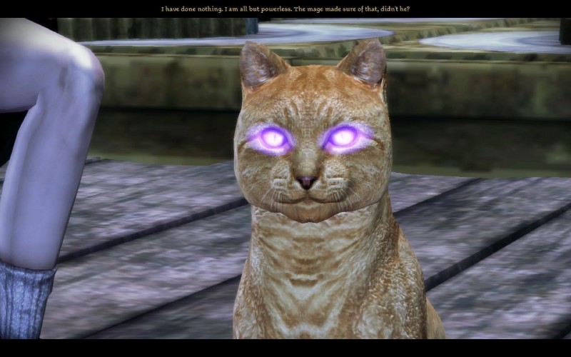 ambiguous_gender disembodied_leg duo feral glowing glowing_eyes screencap solo_focus text unknown_artist bioware dragon_age electronic_arts domestic_cat felid feline felis human mammal tabby_cat ticked_tabby 16:10 3d_(artwork) digital_media_(artwork) english_text grandfathered_content widescreen