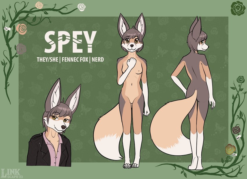 5_fingers anthro biped breasts claws dipstick_tail eyebrow_through_hair eyebrows female fingers hair inner_ear_fluff markings navel nipples pawpads smile solo tail tail_markings translucent translucent_hair tuft linkscape spey_(linkscape) canid canine fennec_fox fox mammal true_fox hi_res model_sheet nonbinary_(lore)