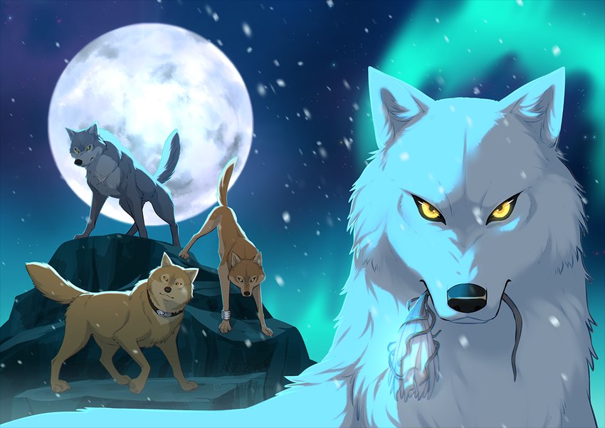 ambiguous_feral ambiguous_gender aurora_(phenomenon) collar countershading feral flower full_moon fur grey_body grey_fur group holding_flower holding_object looking_at_viewer moon mouth_hold night outside plant quadruped rock sky snow snowing standing tail tan_body tan_fur white_body white_fur yellow_eyes azzai wolf's_rain hige_(wolf's_rain) kiba_(wolf's_rain) toboe_(wolf's_rain) tsume_(wolf's_rain) canid canine canis mammal wolf shaded male_(lore)