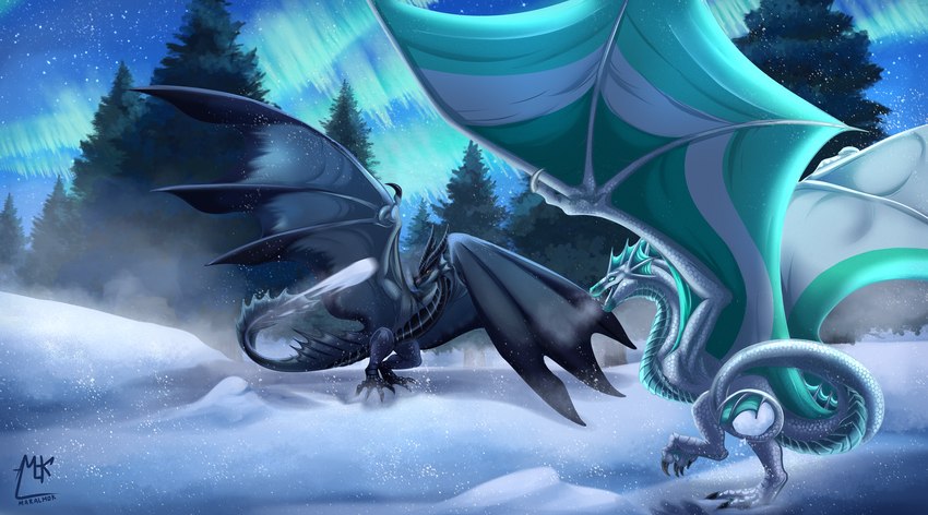 black_body black_scales blue_body blue_scales digitigrade duo evergreen_tree feral male male/male membrane_(anatomy) membranous_wings pine_tree plant scales snow tail tree ventral_scales white_body white_scales wings maralmok european_mythology mythology frexton netherwing_(character) dragon mythological_creature mythological_scalie scalie western_dragon wyvern cool_colors hi_res signature