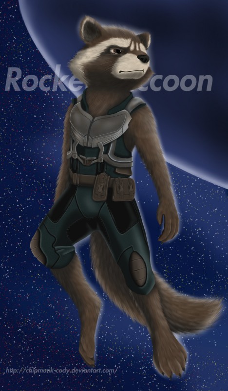 rocket raccoon (guardians of the galaxy and etc) created by zander the raccoon