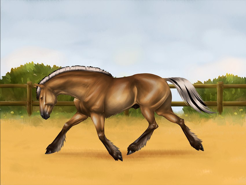 amber_eyes anatomically_correct anatomically_correct_genitalia animal_genitalia barely_visible_genitalia fence feral genitals male sheath solo trotting beesa arvakr draft_horse equid equine fjord_horse horse mammal 4:3