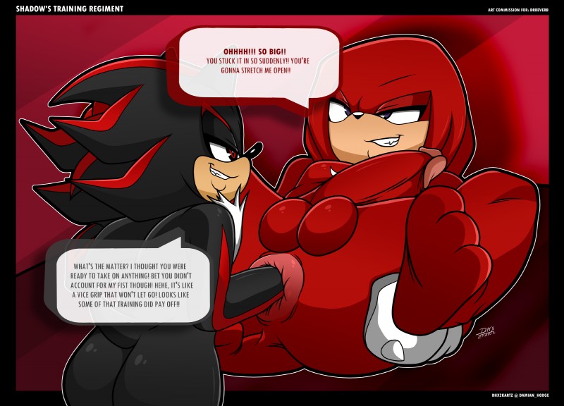 knuckles the echidna and shadow the hedgehog (sonic the hedgehog (series) and etc) created by dhx2kartz
