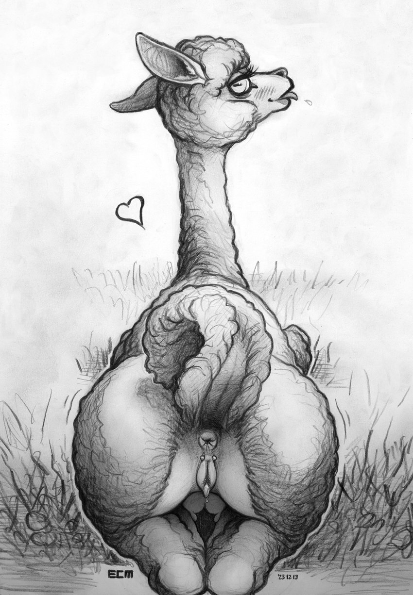 animal_genitalia animal_pussy anus blep camelid_pussy eyelashes female feral fur genital_piercing genitals grass heart_symbol horizontal_pupils looking_at_viewer looking_back lying on_front piercing plant pupils pussy pussy_piercing raised_tail rear_view seductive solo tail teats tongue tongue_out wool_(fur) ecmajor alpaca camelid mammal 2023 hi_res monochrome sketch traditional_media_(artwork)