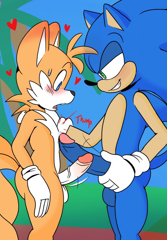 miles prower and sonic the hedgehog (sonic the hedgehog (series) and etc) created by taillove (artist)