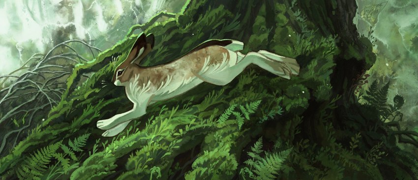 ambiguous_gender brown_body brown_fur day detailed_background feral forest fur grass moss outside paws plant solo tree white_body white_fur geosaiko1267 hare lagomorph leporid mammal 2022 digital_media_(artwork)