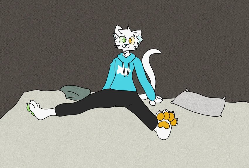 ambiguous_gender anthro bed bottomwear clothing feet furniture green_eyes green_pawpads green_sclera heterochromia hoodie orange_eyes orange_pawpads orange_sclera pants pawpads paws solo topwear youtuber digitalkatten mysticat_(youtuber)