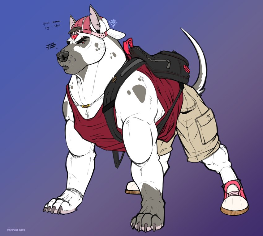 ball basketball_(ball) clothed clothing feral jock male mongrel_dog solo narram tanner_(narram) canid canine canis canis_species(narram) domestic_dog mammal absurd_res hi_res