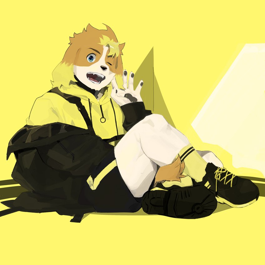 anthro blonde_hair blue_eyes bottomwear clothing floppy_ears hair hoodie male one_eye_closed pawpads shorts sitting solo topwear wink 725_hn lifewonders live_a_hero hisaki_(live_a_hero) canid canine canis domestic_dog mammal 1:1 absurd_res hi_res