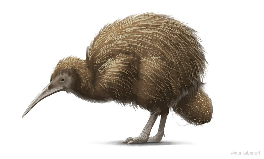 ambiguous_gender brown_body brown_feathers egg feathers feral food fruit kiwifruit oviposition plant simple_background solo white_background nurikabenuri avian bird kiwi_(bird) ratite digital_media_(artwork) digital_painting_(artwork) painting_(artwork)